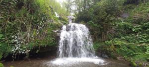 House in the clouds&სახლი ღრუბლებში