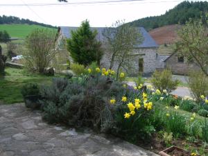 B&B / Chambres d'hotes Chez Louis chambres d'hotes a la ferme : photos des chambres