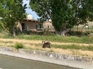 Maisons de vacances Studio a la ferme : photos des chambres