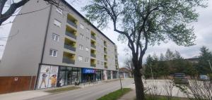 Apartman Centar Bečej