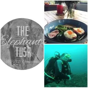 The Elephants Tusk B&B - Ispongo