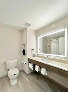 King Suite - Non-Smoking room in Holiday Inn Express and Suites Tampa I-75 at Bruce B. Downs an IHG Hotel