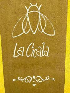 La cicala