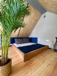 Floating Apartments - ODRA DREAM