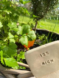 Grimmwald Tiny House