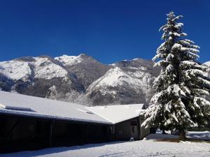 Chalets Chalet de Moulaprat Aste-Beon pres de Laruns et Gourette : Chalet 3 Chambres