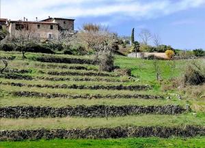 Maisons de vacances Gites le mas clementine Le Coquelicot : photos des chambres