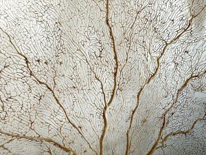 Punta Est - Trilo Ginepro Terrazza & Pool img29