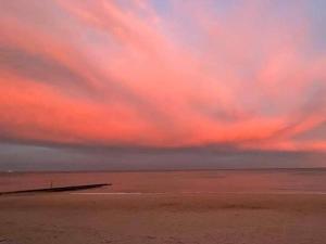 Appartements Le colibri : photos des chambres