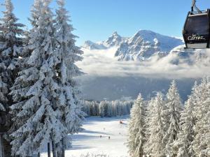 Studio 4 pers, centre village, 450m télécabine, balcon, casier à skis, animaux acceptés - FR-1-572-211