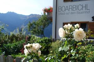 Ferienwohnung Boarbichlhof