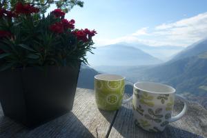 Ferienwohnung Boarbichlhof