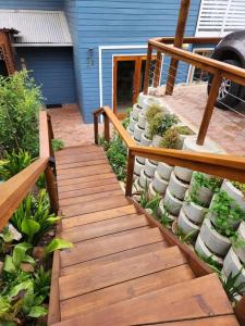 Knysna Holiday Armadillo