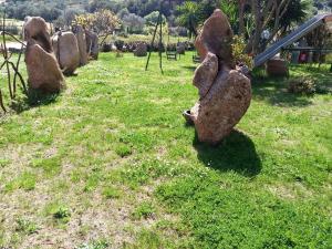 Bed and Breakfast Li Paduli Alvi img49