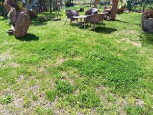 Bed and Breakfast Li Paduli Alvi img46