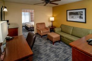 One-Bedroom King Suite - Non-Smoking room in Country Inn & Suites by Radisson Charleston South WV