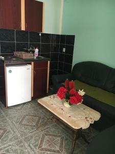 Sunny Villa Apartments