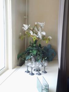 All Exclusive Apartments