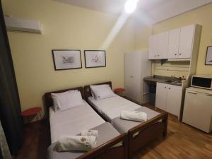 Syntagma apartment C1