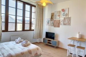 Appartements Studio cosy centre ville 2pers wifi : photos des chambres