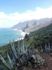 Cozy room near Las Teresitas beach