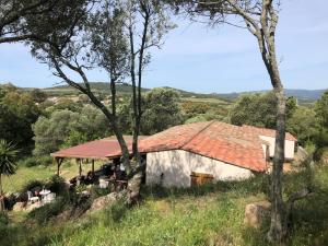 Maisons de vacances Maison au coeur du maquis : photos des chambres