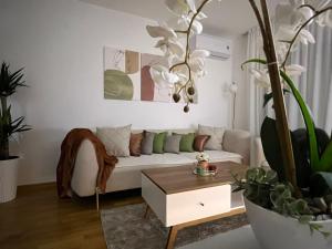 Center Lux Apartment 4