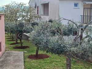 Apartments by the sea Malinska, Krk - 19264