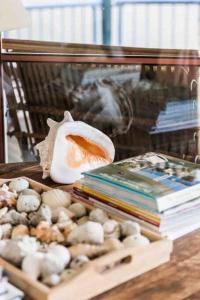 Castaways Beach House Noosa