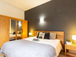 Appartements Duplex renove 4 pers Saint Lary Village pres des Thermes et telecabine - FR-1-296-467 : photos des chambres