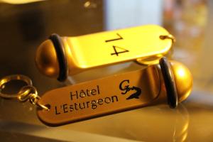 Hotels Hotel L'Esturgeon : photos des chambres