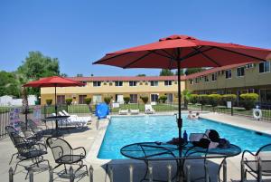King Room with Pool View - Non-Smoking room in Travelodge by Wyndham Red Bluff