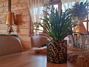 شاليه الخفجي