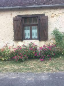 Maisons de vacances Charming 1 bed cottage in countryside : photos des chambres