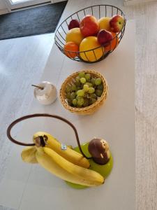 Hotels Cit'Hotel Les Atlantes : photos des chambres