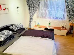 Tolle Wohnung im Gurktal mit Garten - Sankt Andrä