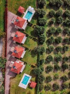 Friday Mood by Diomedes Group