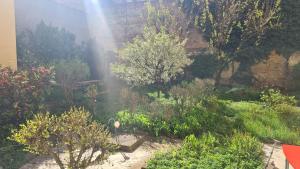 5* noble house in historic center