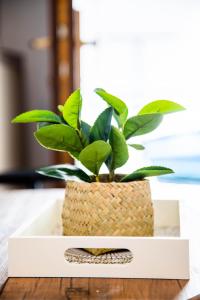 Minimal Studio near City Center