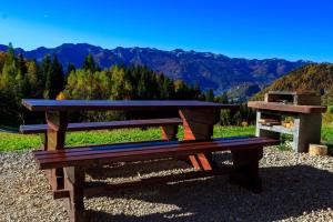 Holiday house Pokrovec - Bohinj 