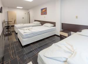 Стаи за гости ПИРОТСКА 39