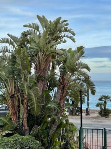 Appartements Appartamento fronte mare a Roquebrune-Cap -Martin : photos des chambres