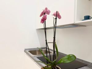 SOLEIL LUXURY APARTMENT