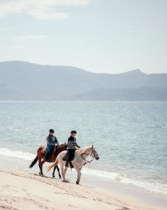 Hotels Le Golfe : photos des chambres