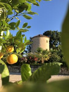 Maisons de vacances Moulin de la Jalousie : photos des chambres