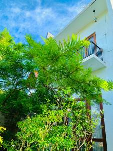 Jungle city Hostel