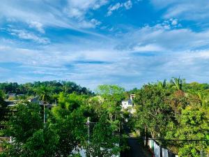 Jungle city Hostel