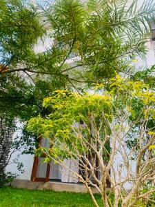 Jungle city Hostel