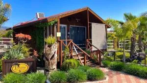 Paraíso del Valle - Toros Pintos