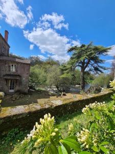 Maisons de vacances Le Moulin de Froment 2 gites de 8 et de 12 couchages, 10 min du Puy du Fou : photos des chambres